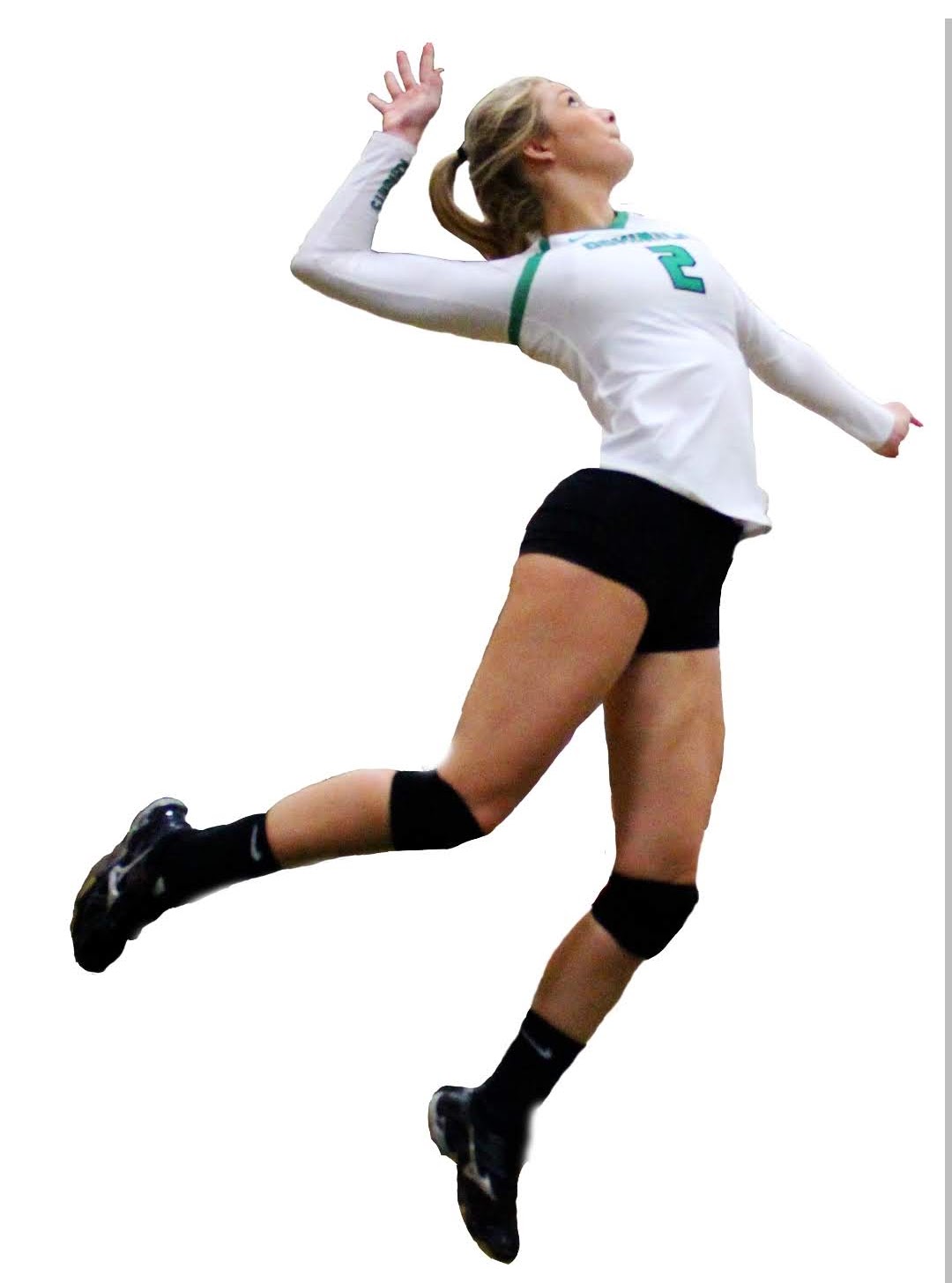Ross Sports Performance Volleyball